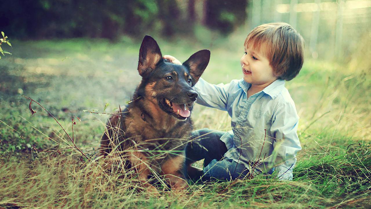 toddler and dog